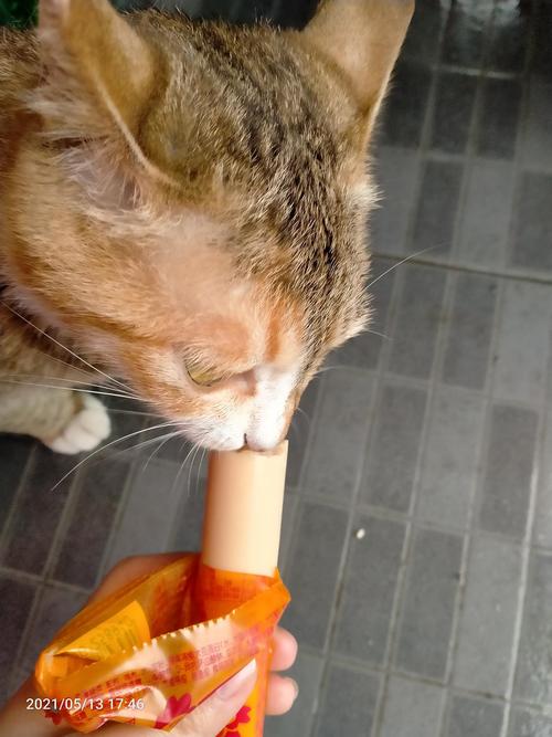 猫咪可以吃火腿肠吗,猫咪可以吃火腿肠吗超市的,猫咪可以吃火腿肠吗？