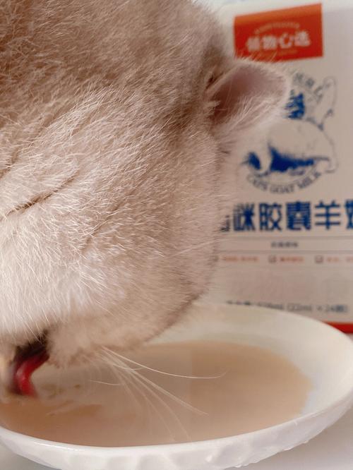 猫咪不喝羊奶粉,猫咪不喝羊奶粉怎么回事,一个月的小猫不喝羊奶怎么办？