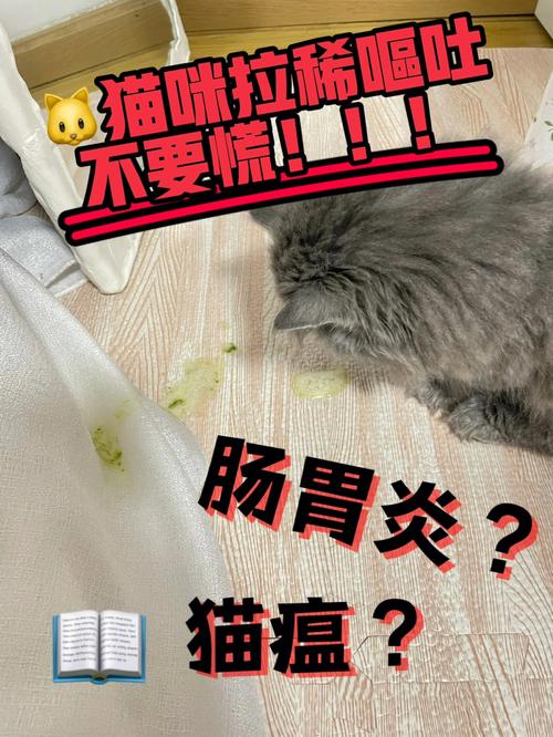 猫咪肠炎症状,猫咪肠炎症状表现,猫肠胃炎和猫瘟的区别？