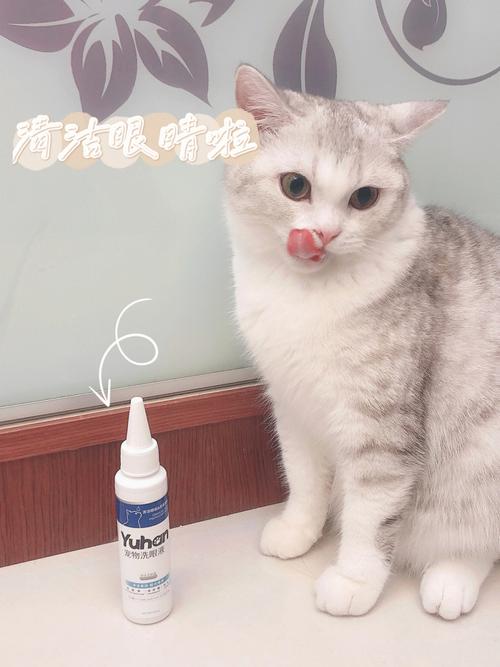 猫咪用的眼药水,猫咪用的眼药水有哪些,猫咪眼药水有什么用？