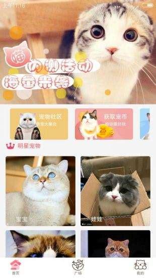 猫咪官网最新,猫咪官网最新下载地址,柚子猫官网？