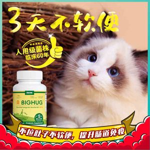 猫咪慢性肠炎,猫咪慢性肠炎吃什么药,猫咪软便怎么办？