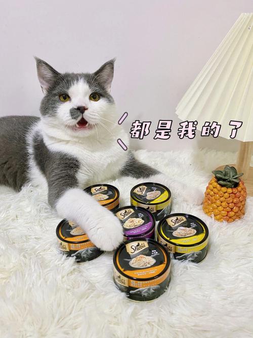 什么牌子猫罐头好,什么牌子猫罐头好吃,猫罐头什么牌子好？