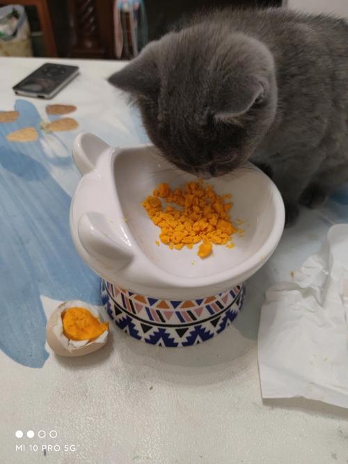猫咪喜欢吃蛋黄,猫咪喜欢吃蛋黄正常吗,为什么猫咪只吃蛋黄？