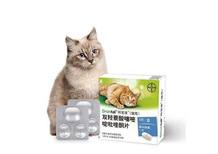 猫咪驱虫药哪种好,猫咪驱虫药哪种好用又便宜,猫猫驱虫药怎么选？