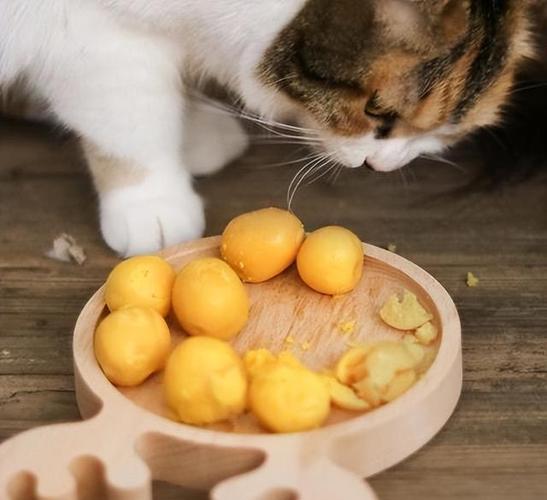 小猫咪能吃蛋黄吗,两个月的小猫咪能吃蛋黄吗,猫几个月能吃蛋黄？