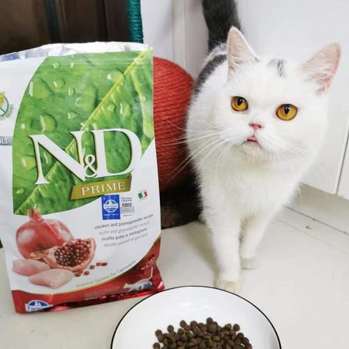 猫咪多大可以吃猫粮,猫咪多大可以吃猫粮不泡,小猫多大可以开始吃幼猫猫粮？