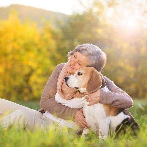 老人适合养什么狗,老人适合养什么狗聪明又爱干净,老年人适合养狗吗？