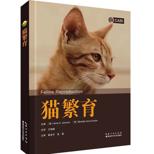 猫咪繁育知识,猫咪繁育知识的书,猫的正确繁衍方法？