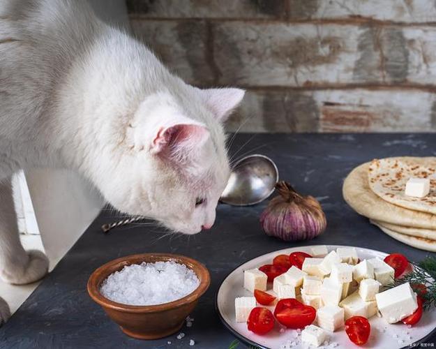 猫咪能吃咸的吗,猫咪能吃咸的吗为什么,猫可以吃有盐食物吗？