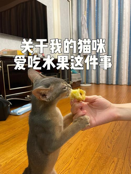 猫咪不能吃的水果,猫咪不能吃的水果有哪些?,猫咪能吃香蕉吗？