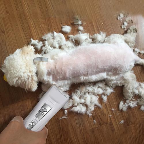 狗毛能做什么,狗毛能做什么东西,能否用狗狗的毛当枕头填充物？