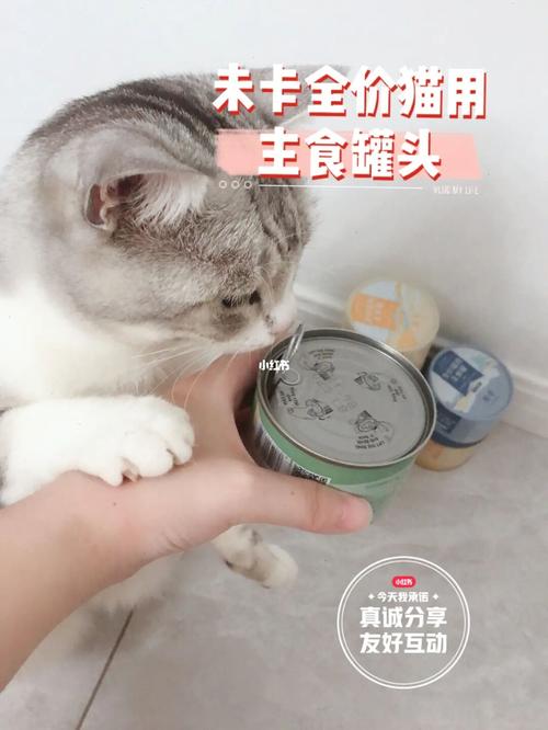 猫咪吃猫罐头好吗,猫咪吃猫罐头好吗?,猫咪多久吃一次猫咪罐头，经常吃好吗？