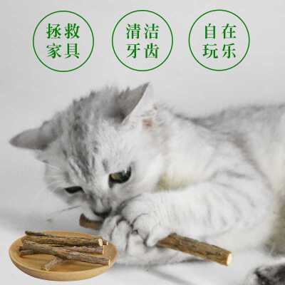 几个月的猫吃什么,出生几个月的猫吃什么,猫磨牙棒几个月开始吃？