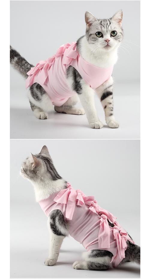 自制猫咪手术服,自制猫咪手术服视频,怎么做猫的衣服？