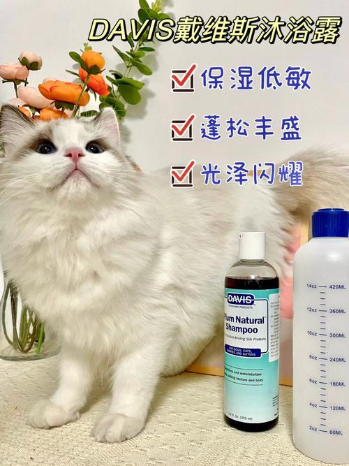 猫洗澡用什么沐浴露,猫洗澡用什么沐浴露可以用人的吗,给猫咪洗澡用什么沐浴露好？