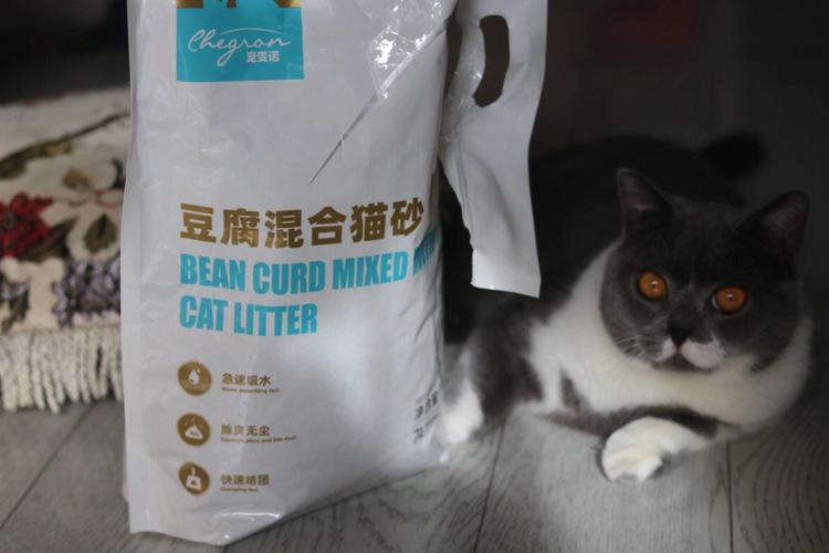 什么牌子的猫砂好,什么牌子的猫砂好用又便宜,什么牌子的猫砂最好用？