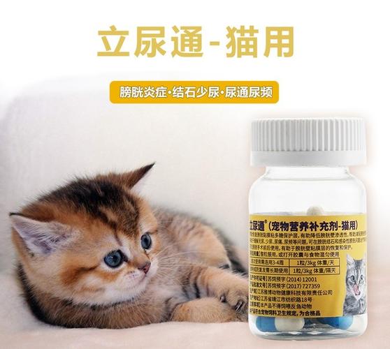 猫膀胱炎吃什么药,猫膀胱炎吃什么药好,请问猫咪尿路感染怎么办？