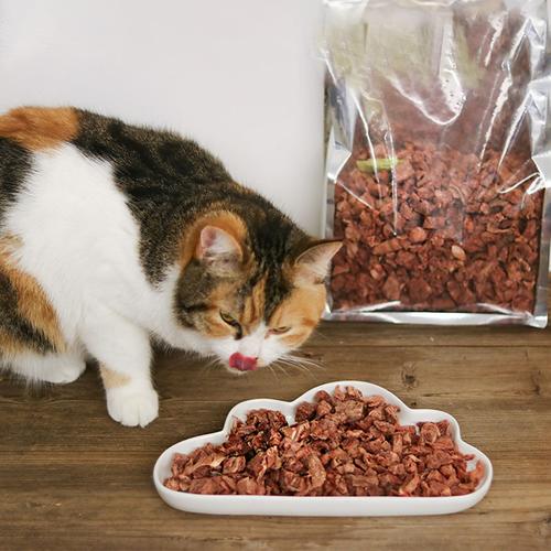 猫咪能吃牛肉干吗,猫咪能吃牛肉干吗,三个月大的小猫可以吃牛肉干吗？