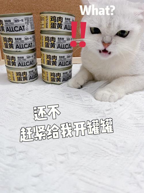 猫咪罐头哪个牌子好,猫咪罐头哪个牌子好性价比高,猫罐头什么牌子好？求推荐？