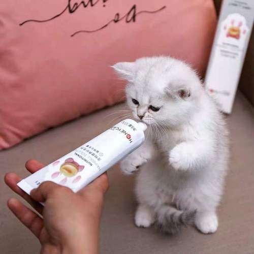 猫咪多大吃化毛膏,猫咪多大吃化毛膏比较好,多大的猫可以吃化毛膏？