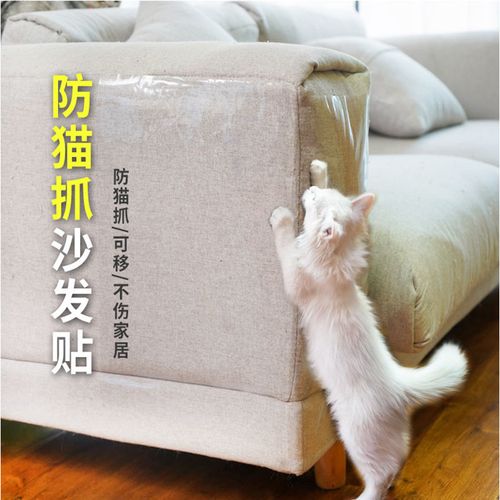 怎样防止猫咪抓沙发,怎样防止猫咪抓沙发抓窗帘,怎么防治小猫挠沙发？