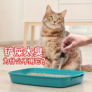 猫尿是什么味道,猫尿是什么味道的,84消毒液可以去除猫尿味吗？