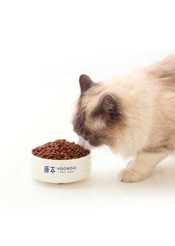 小猫咪多大可以吃猫粮,小猫咪多大可以吃猫粮用猫砂,多大的小猫可以开始吃猫粮？