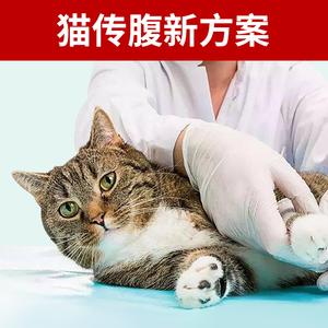 猫咪腹膜炎会传染人吗,,猫咪得了传染性腹膜炎，怎么办？
