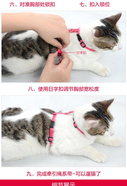 猫咪牵引绳的做法步骤,猫咪牵引绳的做法步骤视频,猫咪牵引绳的正确穿戴方法？