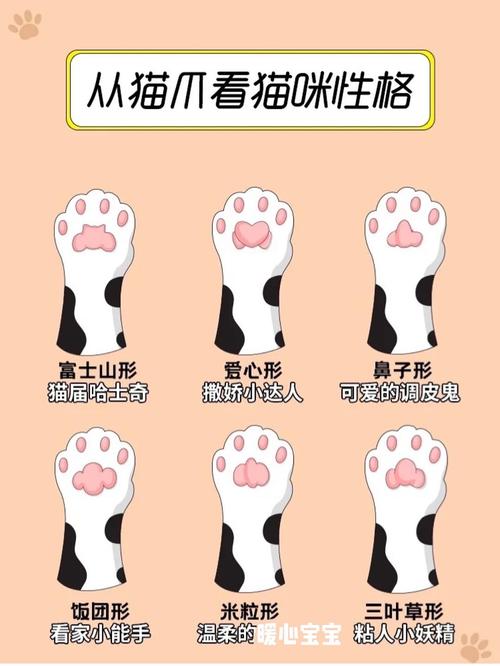猫咪爪子形状,猫咪爪子形状看性格,小猫的爪印是什么形状的？