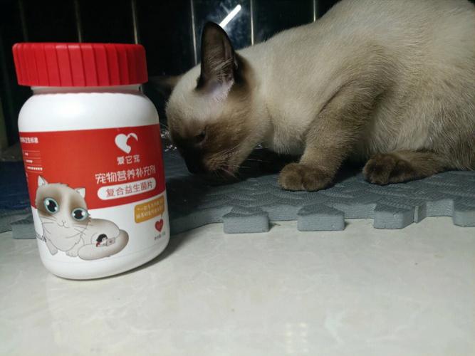 猫咪吃益生菌,猫咪吃益生菌的作用与功效,买了益生菌怎给给猫咪喝？