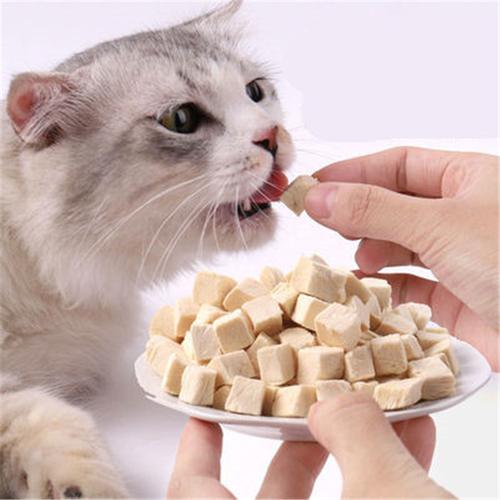 猫咪吃冻干,猫咪吃冻干的好处和坏处,猫一天吃多少冻干？