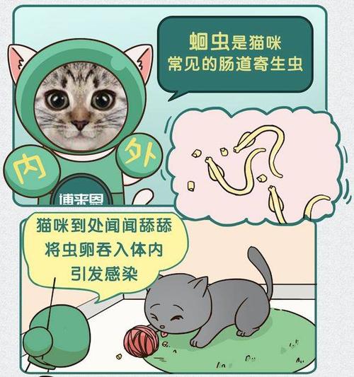 猫咪蛔虫会传染人吗,,猫会携带什么传染病？在医院带回一只野猫，会不会有什么传染病？养了？
