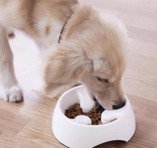 小狗最喜欢吃什么,小狗最喜欢吃什么食物,一般宠物狗吃什么东西的,大概量是多少？
