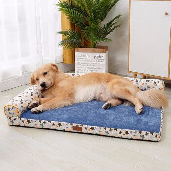狗为什么挠垫子,狗为什么挠垫子呢,为什么狗狗不喜欢掸床？