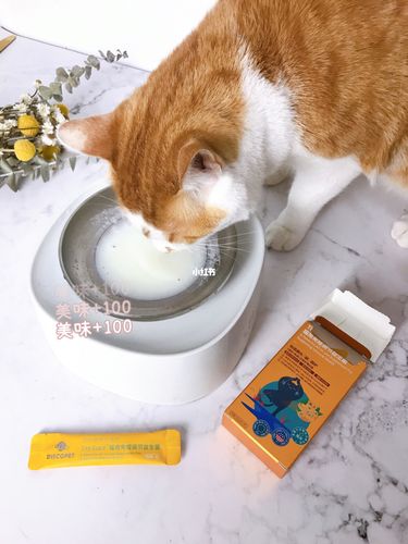 给猫咪喂益生菌的禁忌,给猫咪喂益生菌一次喂多少,猫咪益生菌怎么喂？