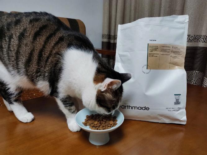猫咪猫粮哪个牌子好,,猫干粮哪个品牌好？