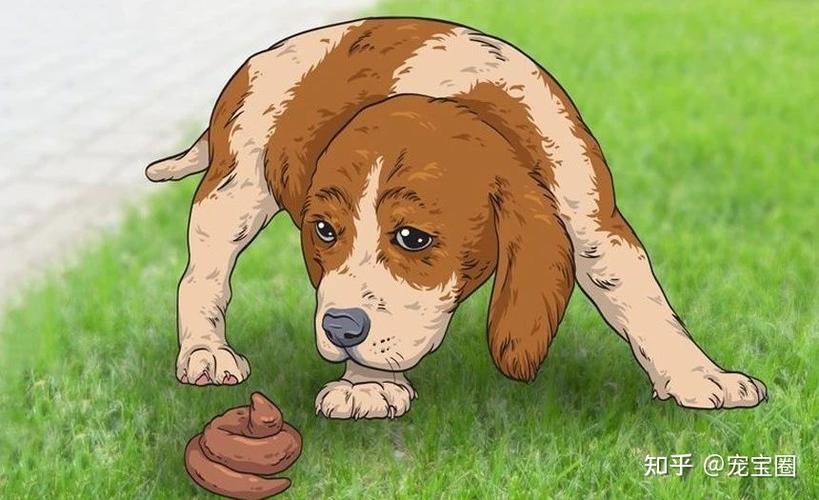 狗为什么吃自己的屎,小奶狗为什么吃自己的屎,狗为什么吃屎？但又不吃自己的？
