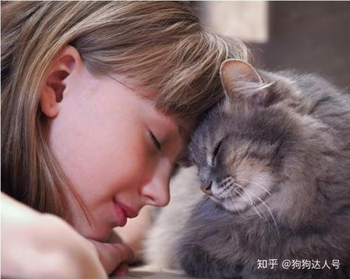 猫为什么喜欢和人睡,猫为什么喜欢和人睡在一起,为什么女人喜欢跟猫睡？