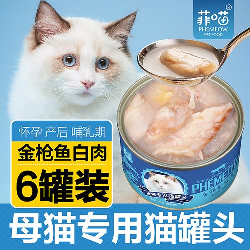 母猫怀孕可以洗澡吗,猫咪主食罐头多久吃一次,怀孕猫咪可以洗澡么？
