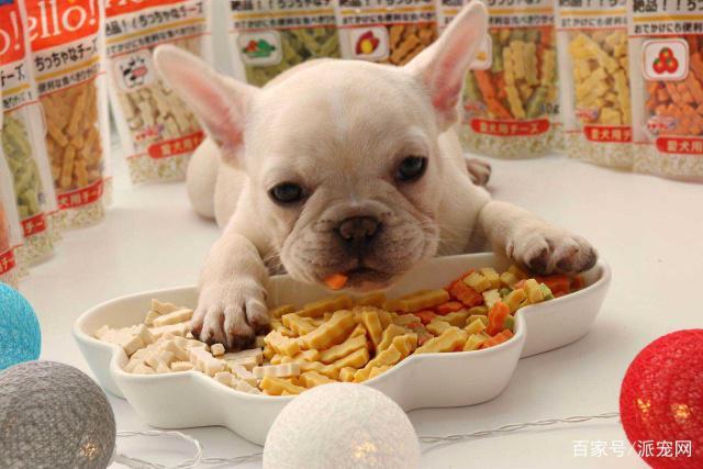 狗不可以吃什么东西,宠物狗不可以吃什么东西,狗狗可以吃红薯芋头之类的东西吗？