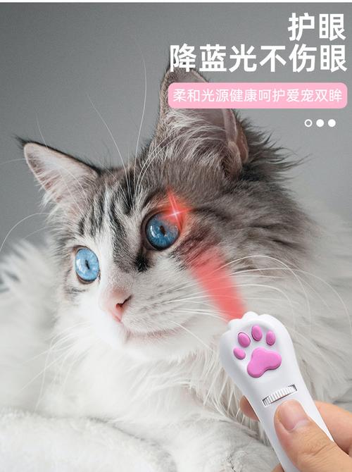 猫为什么喜欢激光笔,猫为什么喜欢激光笔的红点,激光笔能做成什么？
