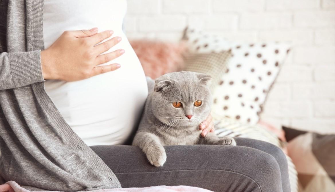 孕妇养猫要注意什么,孕妇养猫要注意什么影响,有宝宝养猫注意事项？