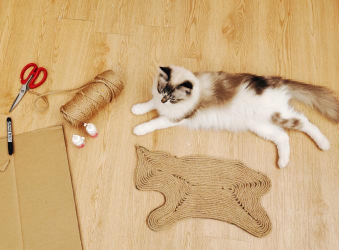 猫抓板什么材质好,养猫根本不需要买的东西,猫抓板哪种款式的好？