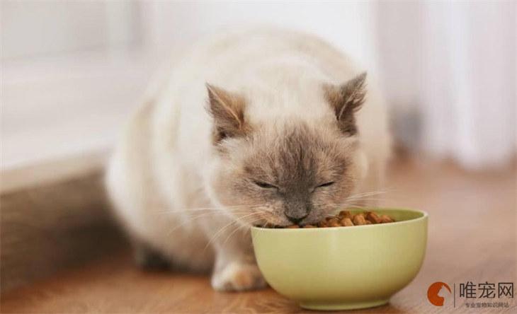 没有猫粮给小猫吃什么,没有猫粮给小猫吃什么应急,猫不吃猫粮吃什么好？