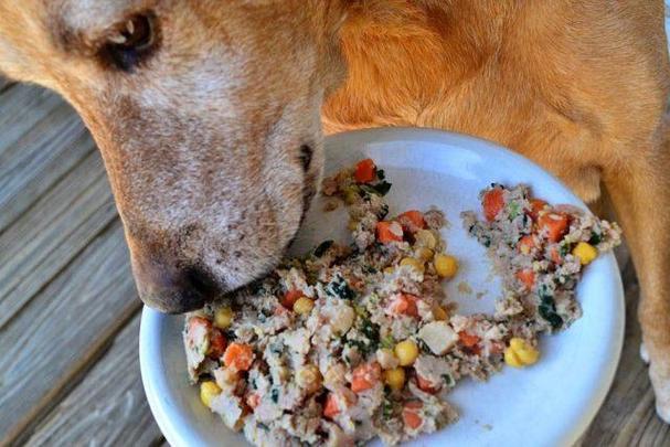 狗狗吃什么主食比较好,自制狗粮的最佳配方,宠物狗只能吃狗粮吗，喂人吃的饭菜行不行？