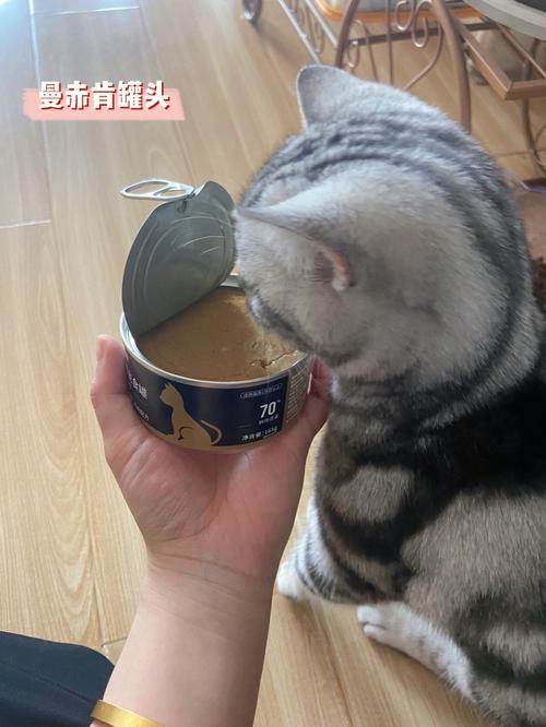 猫罐头是什么,猫罐头是什么做的,猫罐头是生的还是熟的？