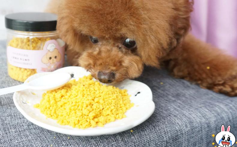 泰迪狗能吃玉米吗,泰迪狗能吃玉米吗?,泰迪吃玉米有什么好处？