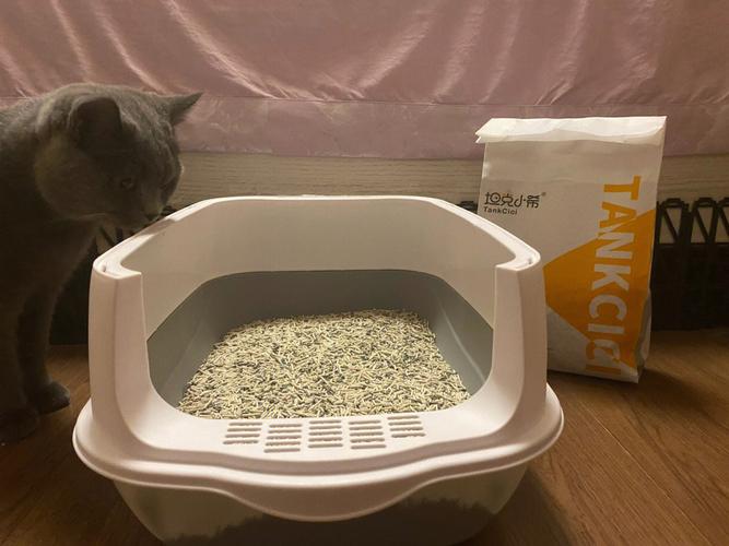 小猫用什么猫砂,小猫用什么猫砂好,猫用什么猫砂好？